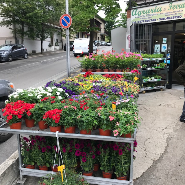 Fiori
