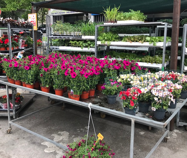 Fiori