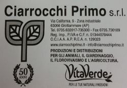 ciarrocchi.jpg