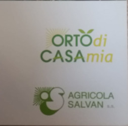 ortocasamia.jpg