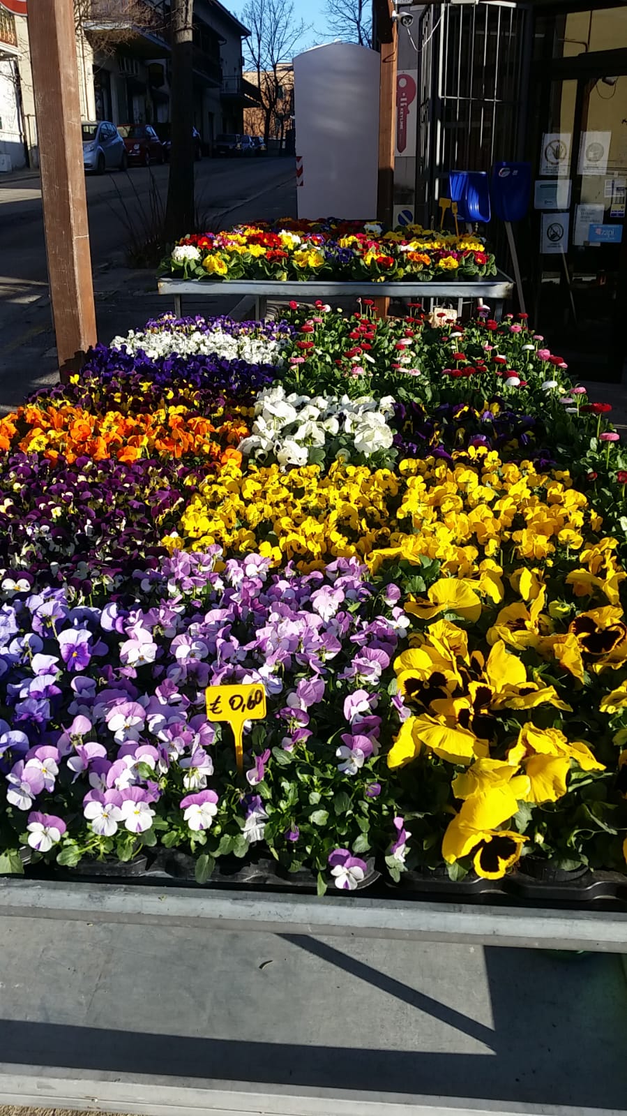 fiori2021.jpg