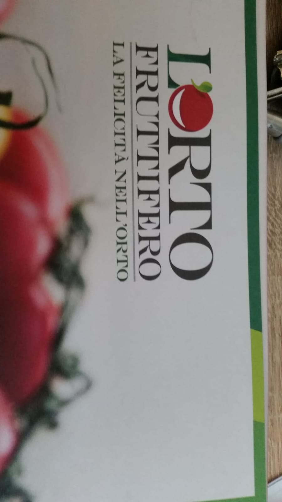 piantine_orto.jpg
